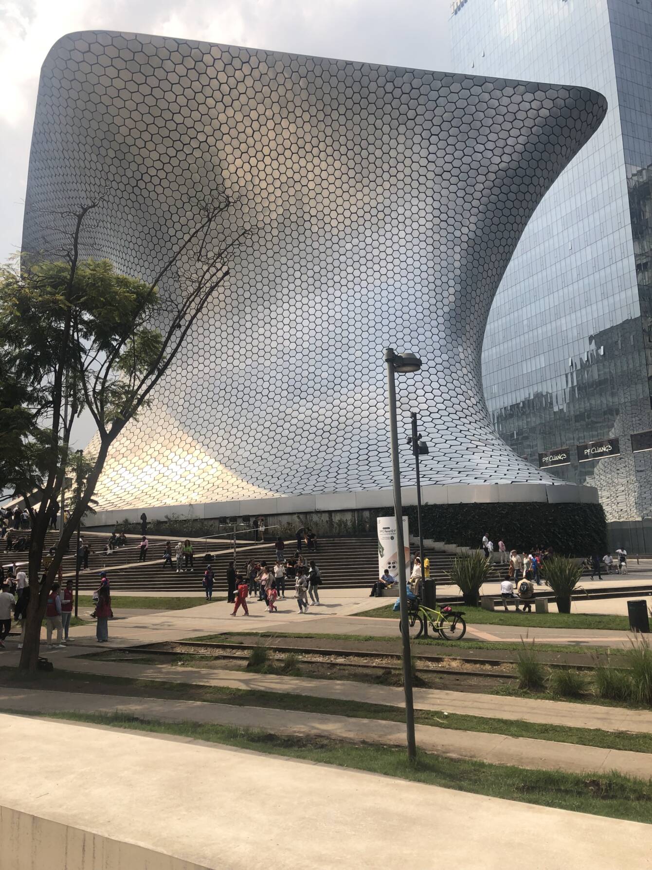 Especialistas en Meta Ads en México